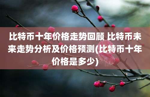 比特币十年价格走势回顾 比特币未来走势分析及价格预测(比特币十年价格是多少)