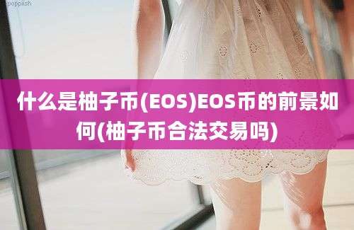 什么是柚子币(EOS)EOS币的前景如何(柚子币合法交易吗)