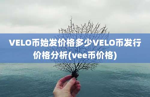 VELO币始发价格多少VELO币发行价格分析(vee币价格)