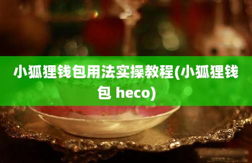 小狐狸钱包用法实操教程(小狐狸钱包 heco)