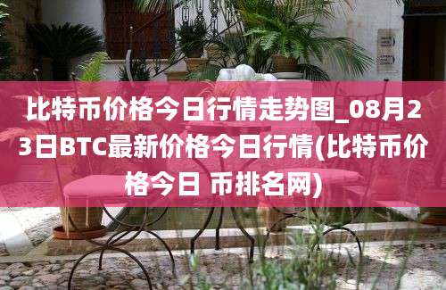 比特币价格今日行情走势图_08月23日BTC最新价格今日行情(比特币价格今日 币排名网)