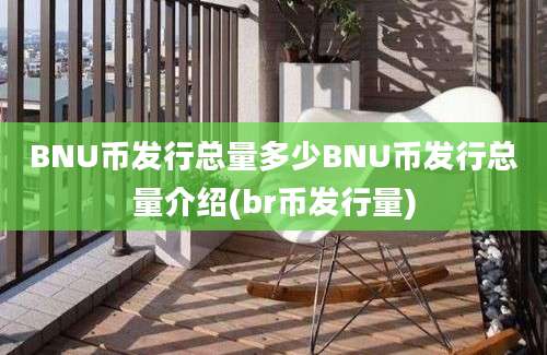 BNU币发行总量多少BNU币发行总量介绍(br币发行量)