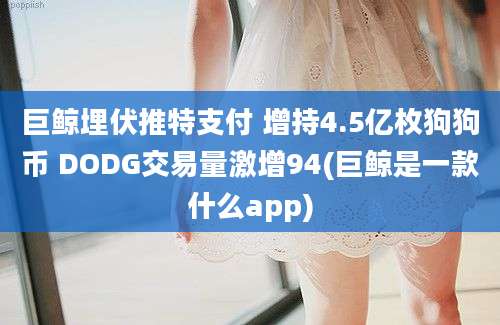 巨鲸埋伏推特支付 增持4.5亿枚狗狗币 DODG交易量激增94(巨鲸是一款什么app)