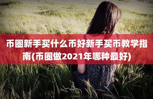 币圈新手买什么币好新手买币教学指南(币圈做2021年哪种最好)