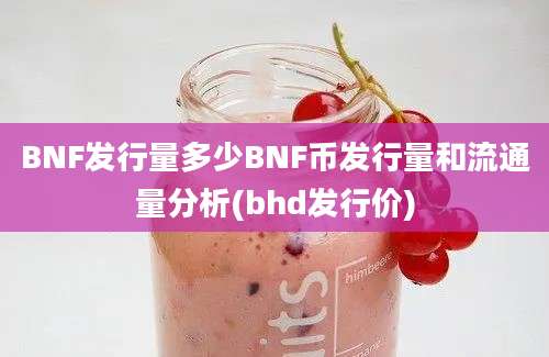 BNF发行量多少BNF币发行量和流通量分析(bhd发行价)