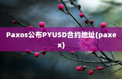 Paxos公布PYUSD合约地址(paxex)