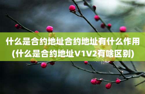 什么是合约地址合约地址有什么作用(什么是合约地址V1V2有啥区别)