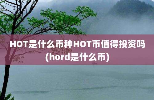 HOT是什么币种HOT币值得投资吗(hord是什么币)