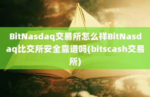 BitNasdaq交易所怎么样BitNasdaq比交所安全靠谱吗(bitscash交易所)