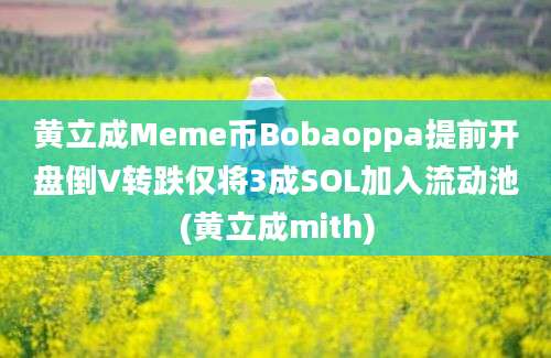 黄立成Meme币Bobaoppa提前开盘倒V转跌仅将3成SOL加入流动池(黄立成mith)