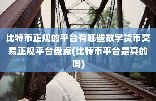 比特币正规的平台有哪些数字货币交易正规平台盘点(比特币平台是真的吗)