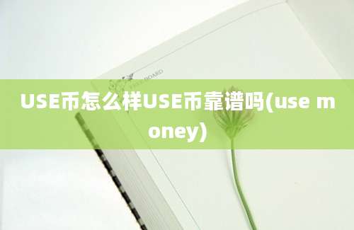 USE币怎么样USE币靠谱吗(use money)