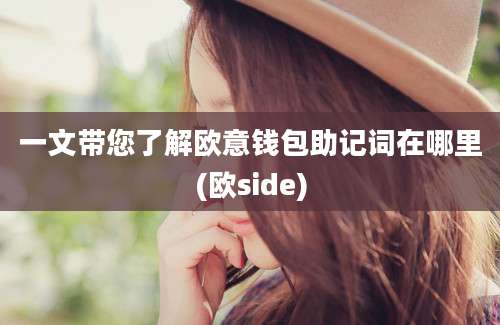 一文带您了解欧意钱包助记词在哪里(欧side)