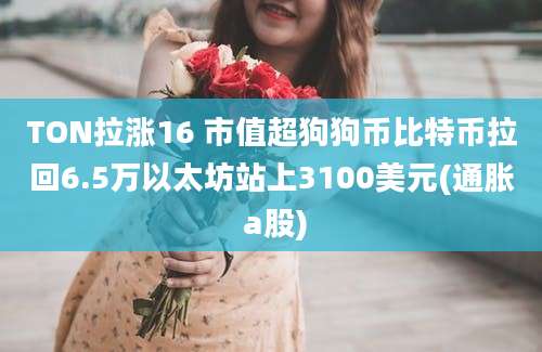 TON拉涨16 市值超狗狗币比特币拉回6.5万以太坊站上3100美元(通胀 a股)