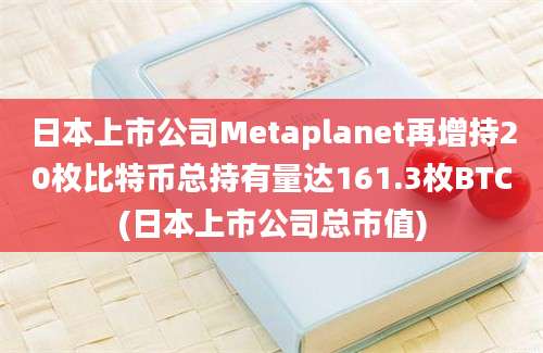 日本上市公司Metaplanet再增持20枚比特币总持有量达161.3枚BTC(日本上市公司总市值)