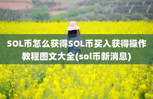 SOL币怎么获得SOL币买入获得操作教程图文大全(sol币新消息)