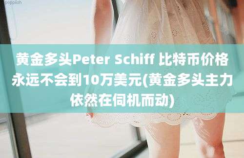 黄金多头Peter Schiff 比特币价格永远不会到10万美元(黄金多头主力依然在伺机而动)