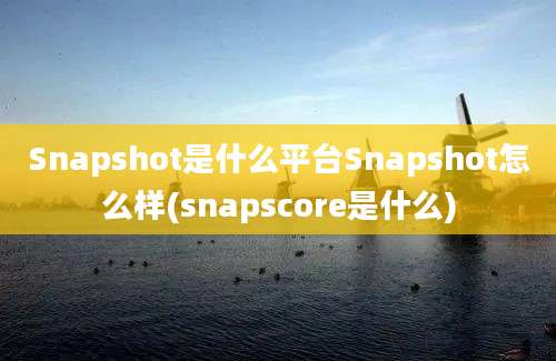 Snapshot是什么平台Snapshot怎么样(snapscore是什么)