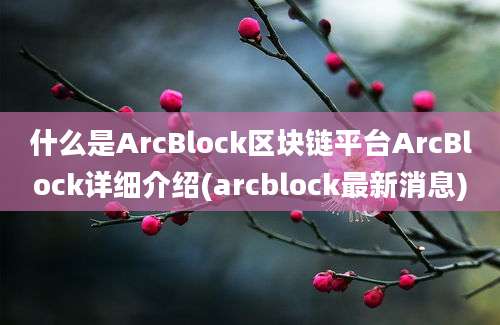 什么是ArcBlock区块链平台ArcBlock详细介绍(arcblock最新消息)