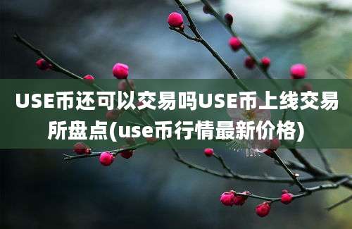 USE币还可以交易吗USE币上线交易所盘点(use币行情最新价格)