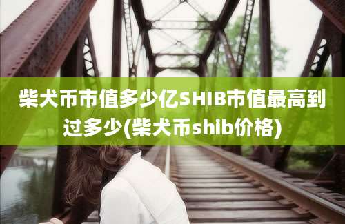 柴犬币市值多少亿SHIB市值最高到过多少(柴犬币shib价格)