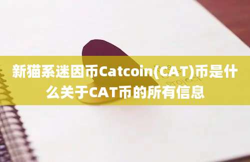 新猫系迷因币Catcoin(CAT)币是什么关于CAT币的所有信息