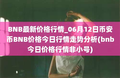 BNB最新价格行情_06月12日币安币BNB价格今日行情走势分析(bnb今日价格行情非小号)