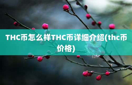 THC币怎么样THC币详细介绍(thc币价格)