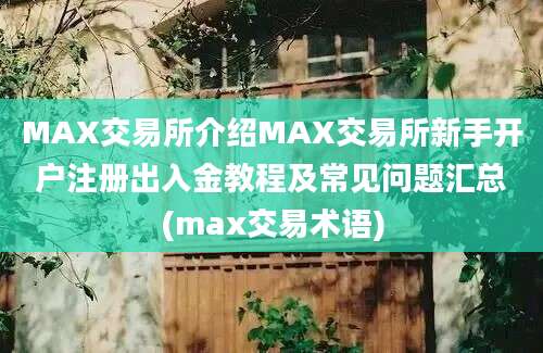 MAX交易所介绍MAX交易所新手开户注册出入金教程及常见问题汇总(max交易术语)