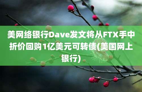 美网络银行Dave发文将从FTX手中折价回购1亿美元可转债(美国网上银行)