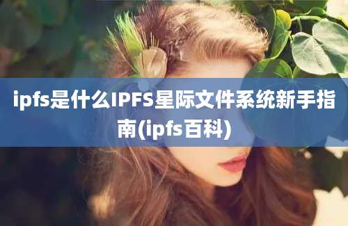 ipfs是什么IPFS星际文件系统新手指南(ipfs百科)