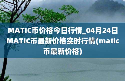 MATIC币价格今日行情_04月24日MATIC币最新价格实时行情(matic币最新价格)