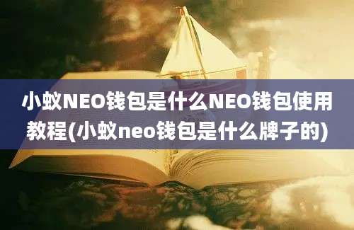 小蚁NEO钱包是什么NEO钱包使用教程(小蚁neo钱包是什么牌子的)