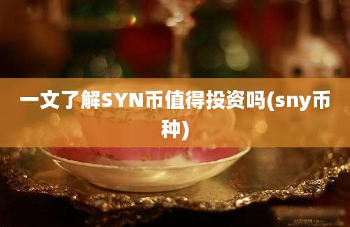 一文了解SYN币值得投资吗(sny币种)