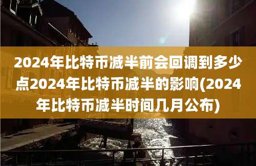 2024年比特币减半前会回调到多少点2024年比特币减半的影响(2024年比特币减半时间几月公布)