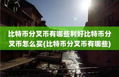 比特币分叉币有哪些利好比特币分叉币怎么买(比特币分叉币有哪些)