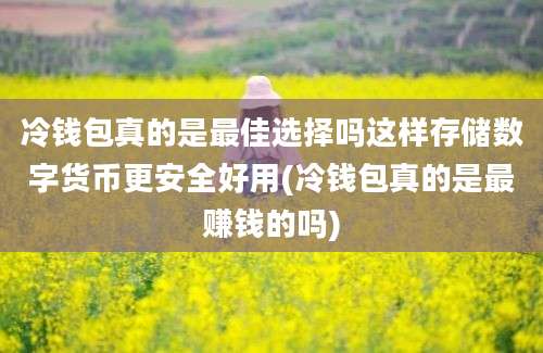 冷钱包真的是最佳选择吗这样存储数字货币更安全好用(冷钱包真的是最赚钱的吗)