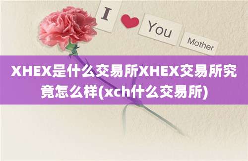 XHEX是什么交易所XHEX交易所究竟怎么样(xch什么交易所)