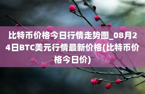 比特币价格今日行情走势图_08月24日BTC美元行情最新价格(比特币价格今日价)