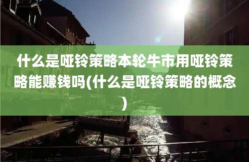 什么是哑铃策略本轮牛市用哑铃策略能赚钱吗(什么是哑铃策略的概念)