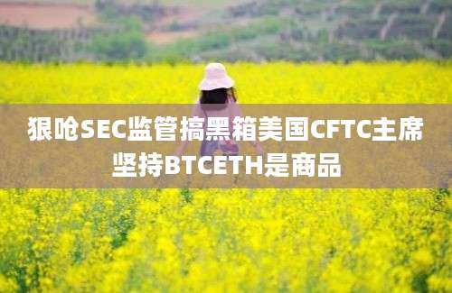 狠呛SEC监管搞黑箱美国CFTC主席坚持BTCETH是商品