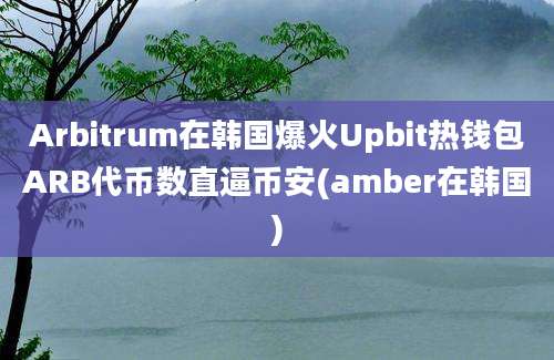 Arbitrum在韩国爆火Upbit热钱包ARB代币数直逼币安(amber在韩国)