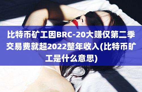 比特币矿工因BRC-20大赚仅第二季交易费就超2022整年收入(比特币旷工是什么意思)