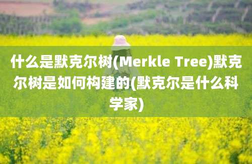 什么是默克尔树(Merkle Tree)默克尔树是如何构建的(默克尔是什么科学家)