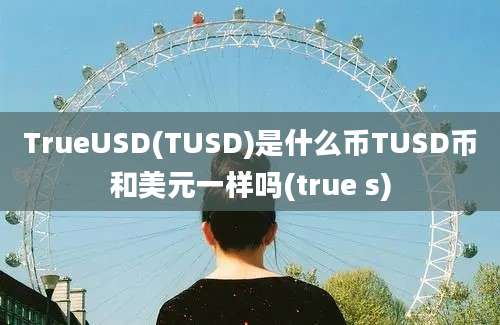 TrueUSD(TUSD)是什么币TUSD币和美元一样吗(true s)