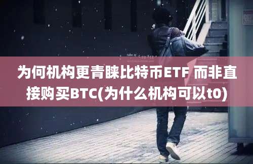 为何机构更青睐比特币ETF 而非直接购买BTC(为什么机构可以t0)