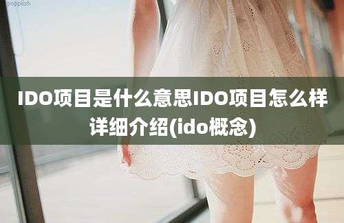 IDO项目是什么意思IDO项目怎么样详细介绍(ido概念)