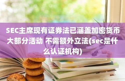 SEC主席现有证券法已涵盖加密货币大部分活动 不需额外立法(sec是什么认证机构)