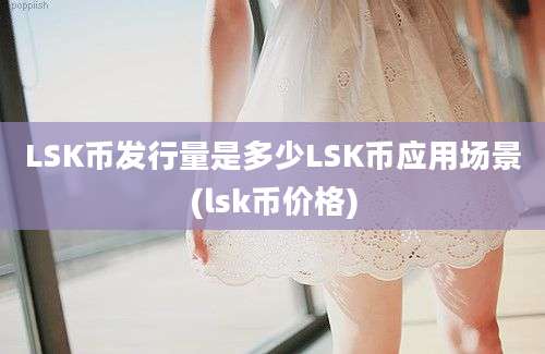 LSK币发行量是多少LSK币应用场景(lsk币价格)