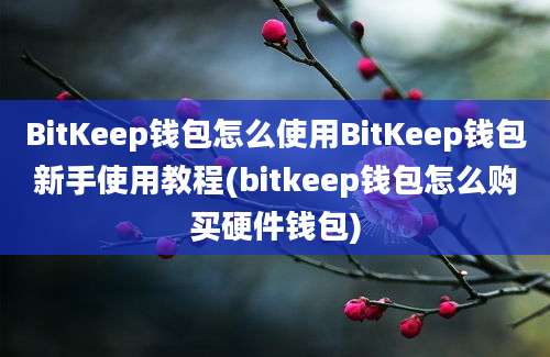 BitKeep钱包怎么使用BitKeep钱包新手使用教程(bitkeep钱包怎么购买硬件钱包)